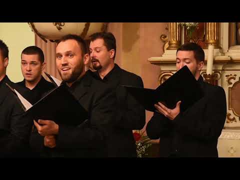 DRUGA SLAVA ~ THE SECOND SLAVA [Kornelije Stanković 1831-1865] | by SERBICA™