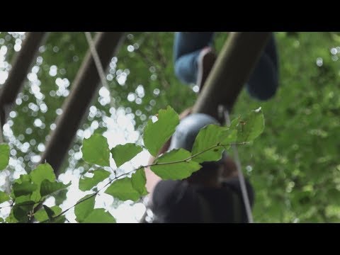 Schwindelerregende Höhen - Teambuilding Teil 2