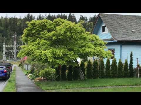 Episode 8: Field Trip: 'Seiryu'