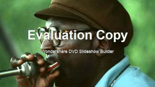 Sonny Terry - Dirty Mistreater