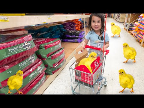 Walmart Shopping With a TINY PINK Shopping Cart WITH OUR BABY CHICKS!!