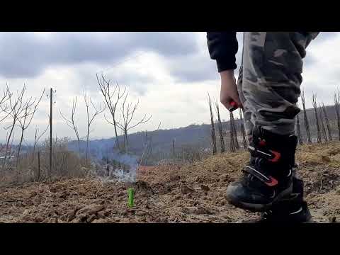 Bull Dog 0.5g Enigma fireworks