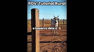 A Vergonha Veio Pelo Rádio 🤣humor #engraçado #shorts