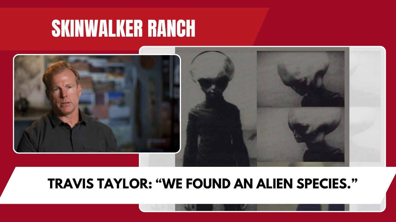 YouTube Thumbnail Downloader FULL HQ IMAGE