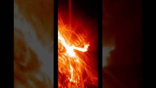 Solar flares 🤯👍 #viral  #space  #shorts