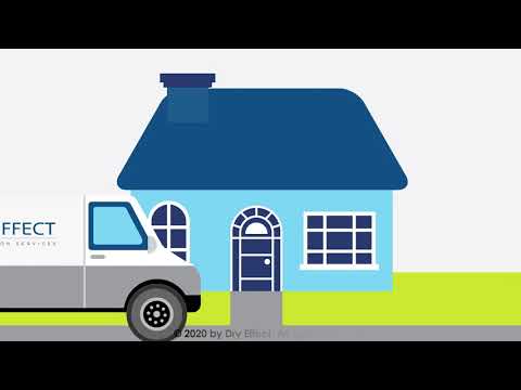 What Happens During A Mold Inspection With Dry Effect?