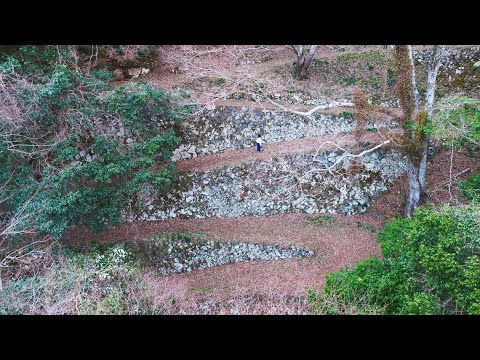 七曲がり【岡山県新見市】