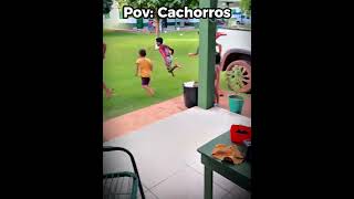 Esse aí não late… ele reclama 😂🤡#engraçado #cachorro #shorts