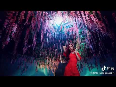 My name is RÓSE- bản mashup ' DDU-DU-DU-DDU/ Don't know what to do / Kill this love / Eyes closed/'