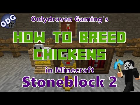 INSANE TRICK! Breed Chickens in Stoneblock 2