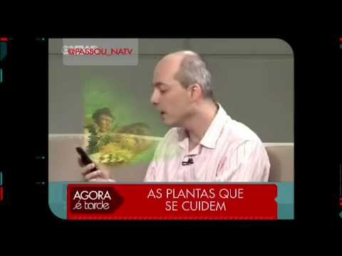 Passou na TV - As Pérolas da Televisão - Agora é Tarde 30/11/2012