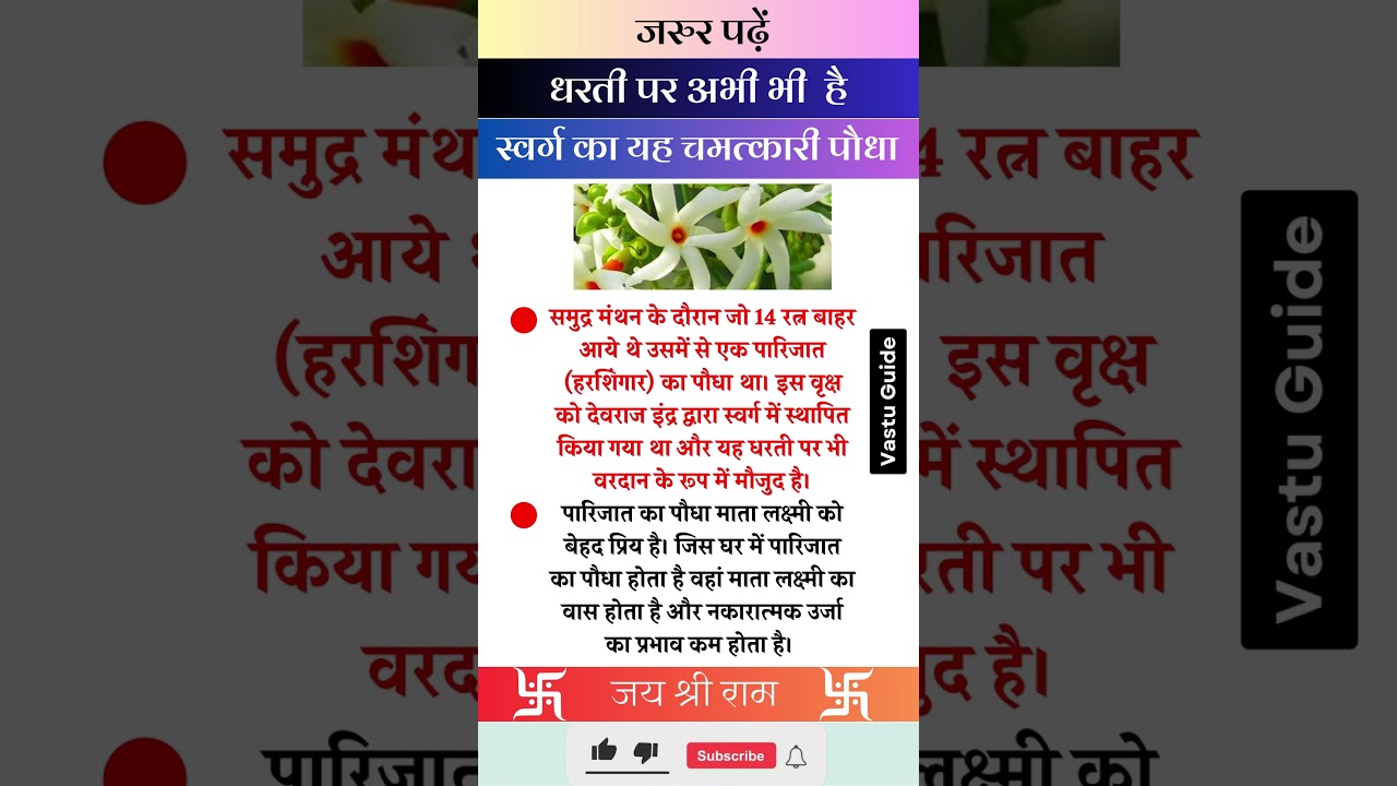 धरती पर अभी भी  है, स्वर्ग का यह चमत्कारी पौधा #youtube #youtubeshorts