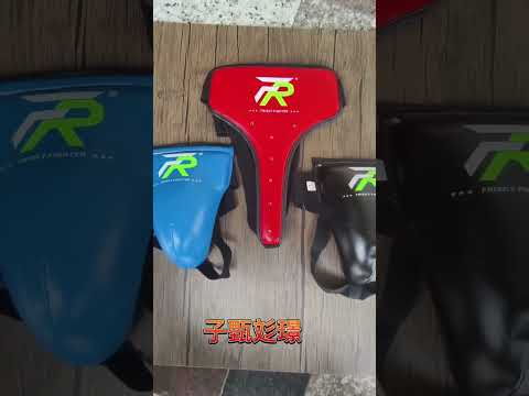 ~子甄彣璟~FRISKY護襠 護陰 拳擊 跆拳道 泰拳 搏擊 散打 格鬥 空手道 兒童成人運動護具 安全防護