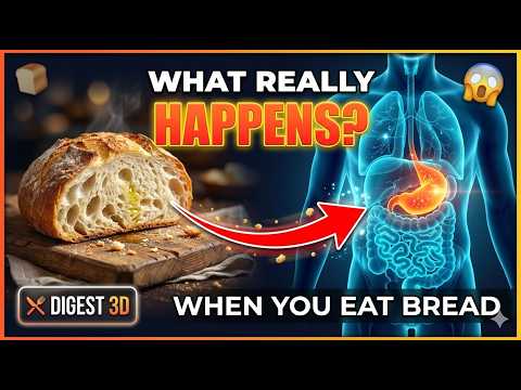 What REALLY Happens When You Eat Bread | Diet | Digestive system