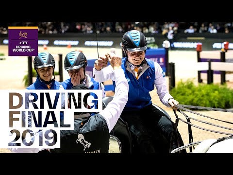 How Bram Chardon became the new FEI Driving World Cup™ champion | Equestrian World