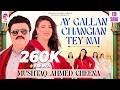 Ay Gallan Changian Tey Nai New Saraiki Song 2025 Mushtaq Ahmed Cheena Official Video