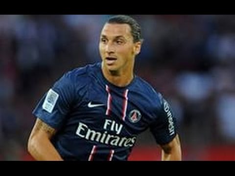Zlatan Ibrahimovic Best Goals Ever ● Epic Goals ● HD