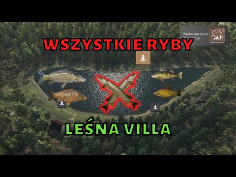 jak złowić wszystkie ryby - leśna willa eksploracja Czechy