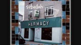 sebadoh-nothing like you