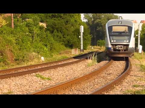 Un salut amuzant / Funny salutation