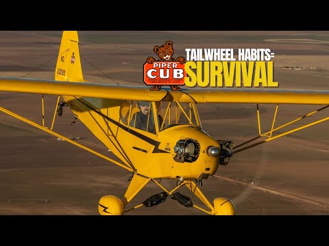 The Habit That Makes Tailwheel Pilots Better — Use It or Lose It