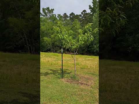 I SUCK at farming #viral #farming #ranching