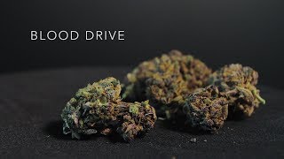 Blood Drive | Strain Review | Nightly Bud