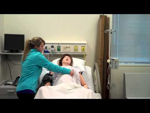 Postpartum Assessment