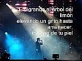 Castillo Azul- Ricardo Montaner (Letra) 