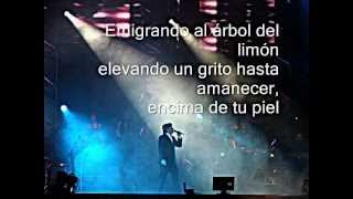 Castillo Azul- Ricardo Montaner (Letra) ♥