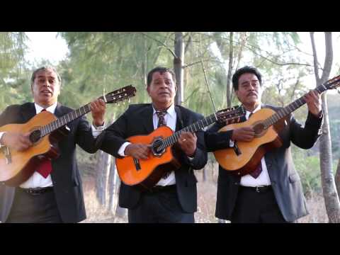 Trio Hermanos Torres - Mis Gavillas (Video Oficial)