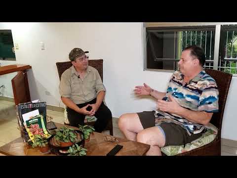 Veteran Steve dental and medical story