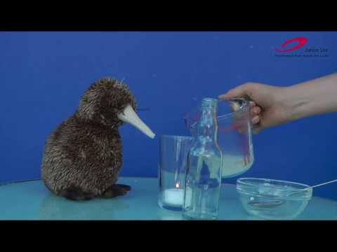 Junior Uni DigiTal - Die Herausforderung: Eure Videos