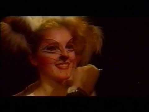 Macskak A felujitas SEREGI