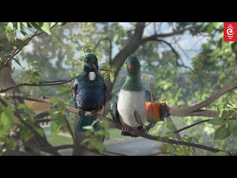 Bird's Eye View | Trailer | RNZ