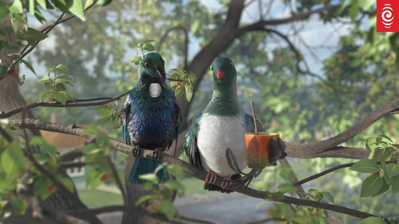 Bird's Eye View | Trailer | RNZ