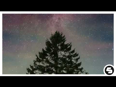 Danilo Seclì - Noche