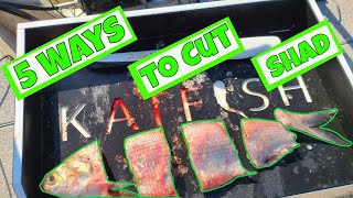 5 Ways to Cut Gizzard Shad for Winter Catfishing