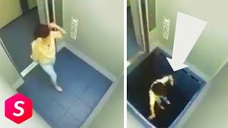 Download lagu Gini Kalau TV Jepang Udah Ngisengin Orang,. Bikin Jantungan.. 🤣 mp3 Download lagu Gini Kalau TV Jepang Udah Ngisengin Orang,. Bikin Jantungan.. 🤣 mp3