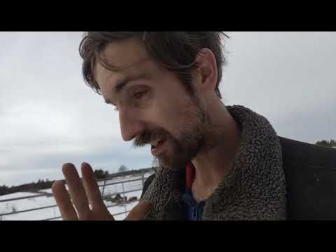 Våren närmar sig och djur skickade