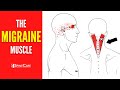 How To Release Tension For FAST MIGRAINE RELIEF