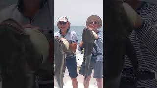 Hôtel Kasa Afrikana