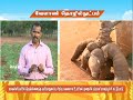 Pon Vilaiyum Bhoomi 03 09 2019 வேளாண் தொழில்நுட்பம்