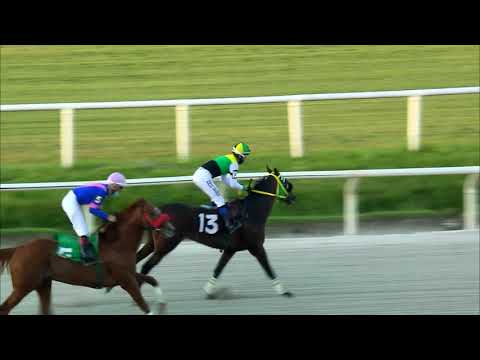 201121 c10 - ROBINSON GLORY - MAROÑAS