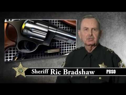 Blotter Pbso
