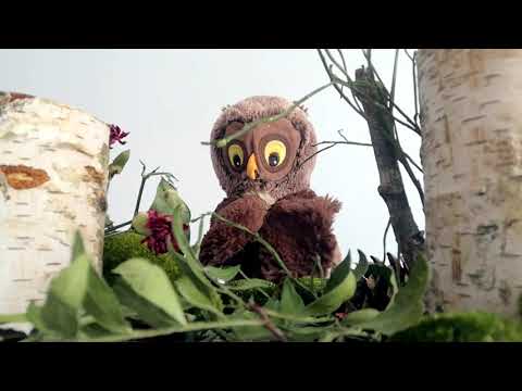 Pogawędka z Sówką Jankiem - personalnie do dzieci