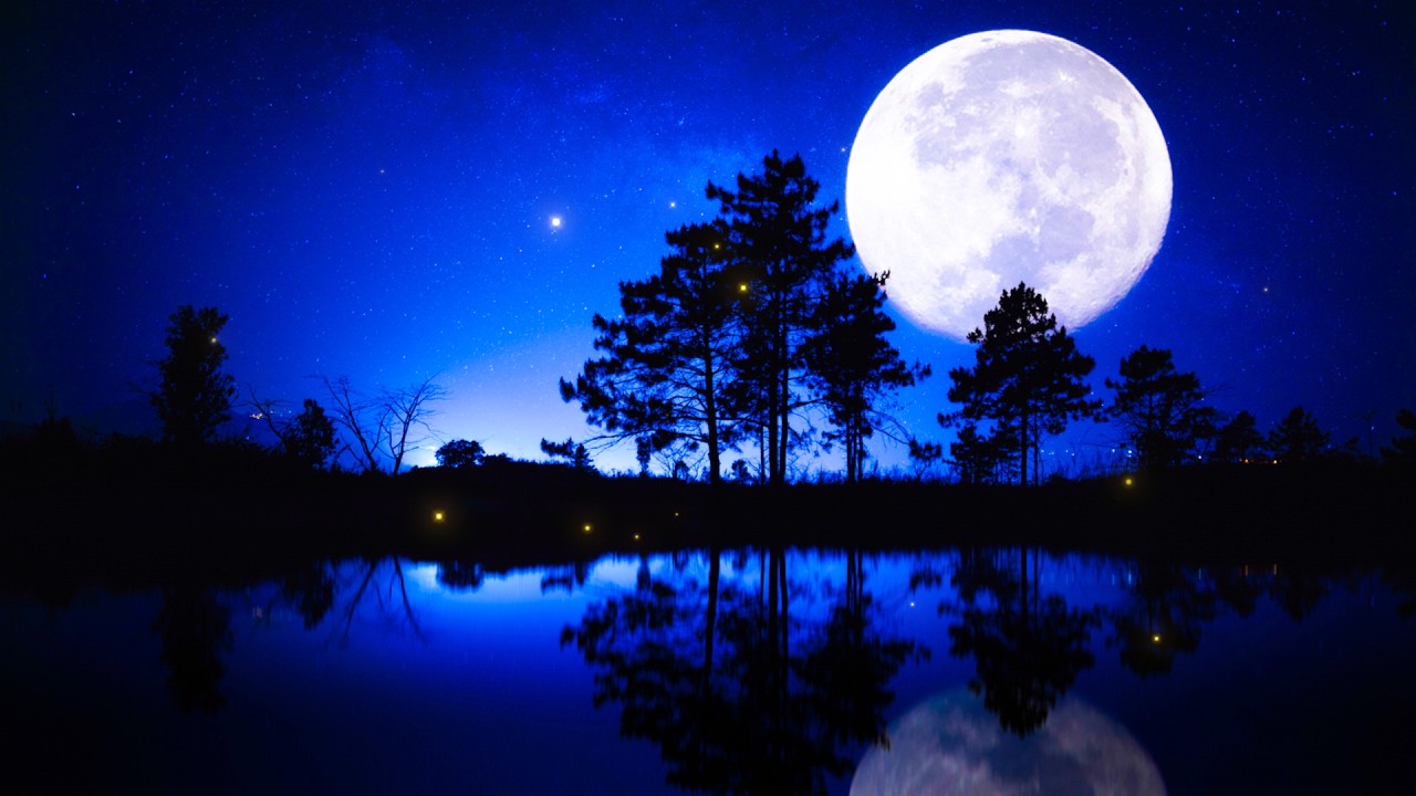 やさしいオルゴール ～Peaceful Music Box～【ゆったり睡眠用BGM】心が落ち着く、癒しの音楽