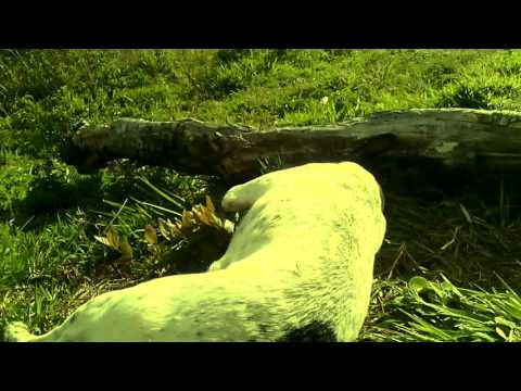 Buesaco cañon del Juanambu