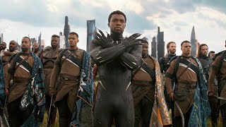 Black Panther (2018) - Best Scenes