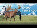What Happened to the Giant Irish Elk?